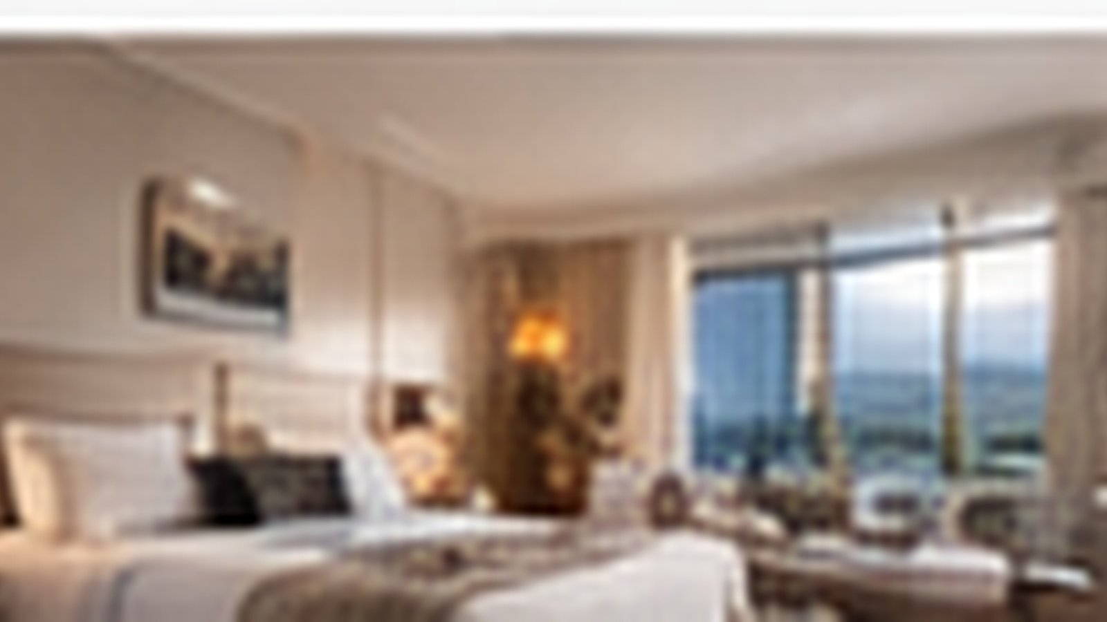 Premium Suite